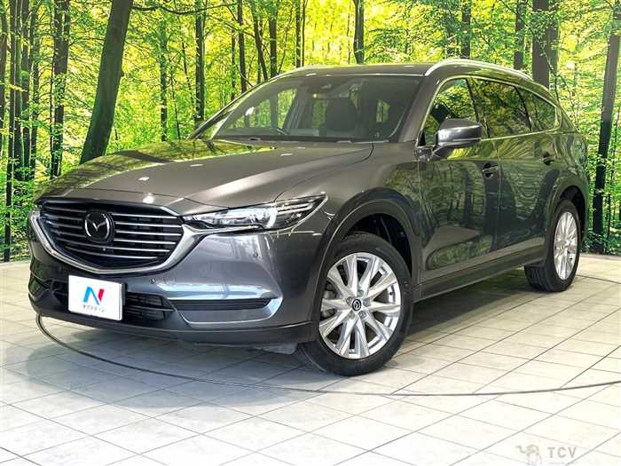 2017 Mazda CX-8