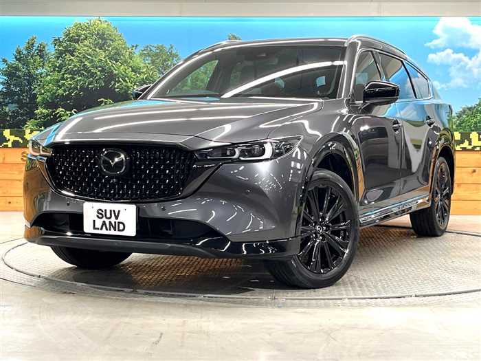 Mazda CX-8 2023 — миниатюра 2