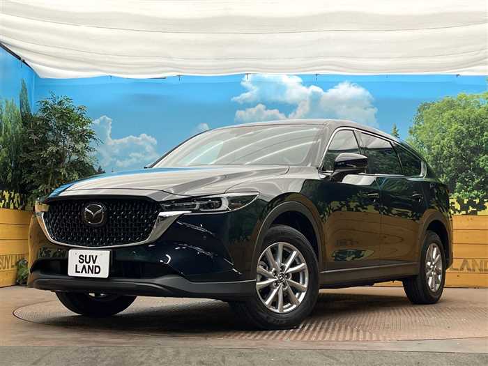Mazda CX-8 2024 — фото 2 купить в Москве