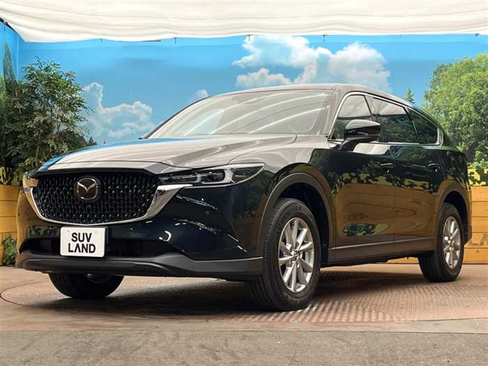 Mazda CX-8 2024 — фото 6 купить в Москве