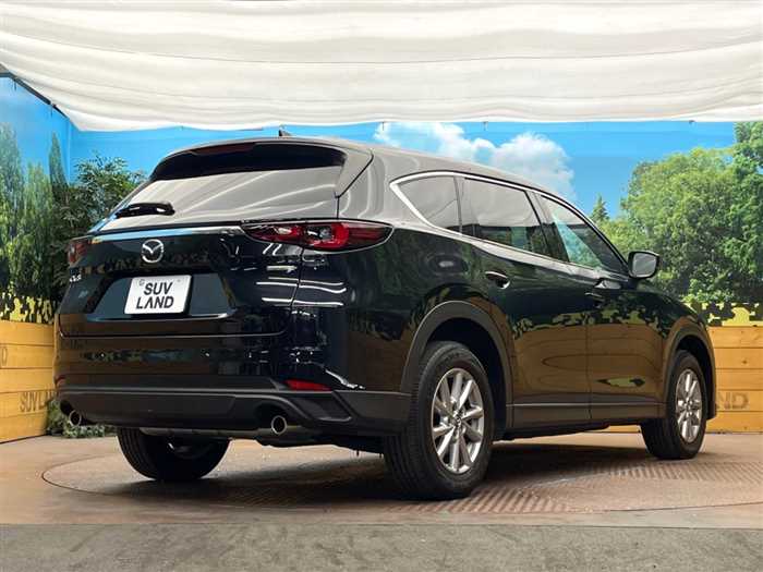 Mazda CX-8 2024 — фото 10 купить в Москве