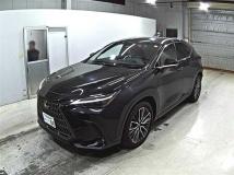 2022 Lexus NX