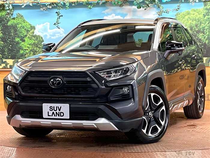 2019 Toyota RAV4