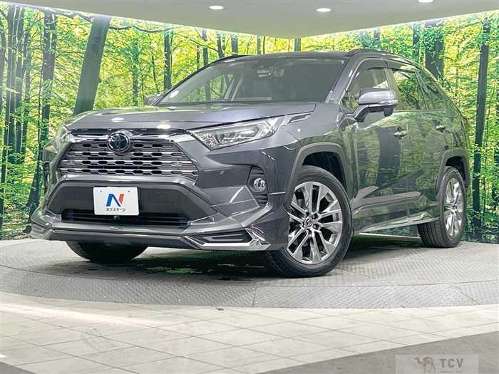 2019 Toyota RAV4