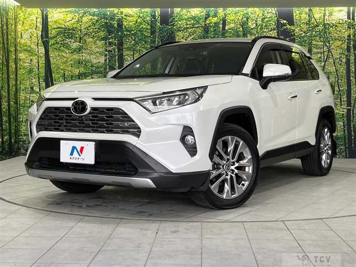 2020 Toyota RAV4