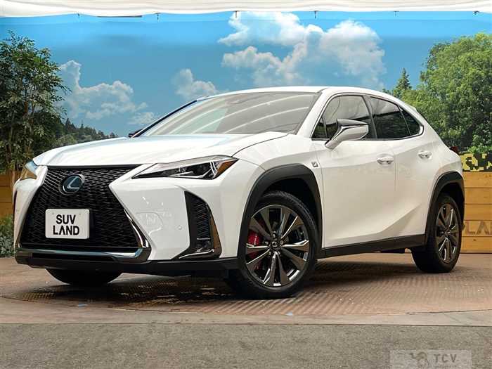 2019 Lexus Other