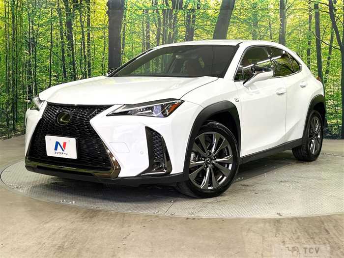 2019 Lexus Other