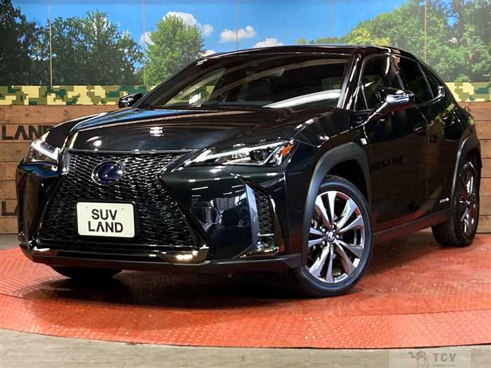 2019 Lexus Other