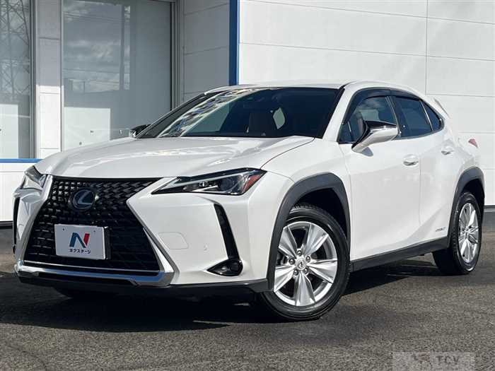 2019 Lexus Other