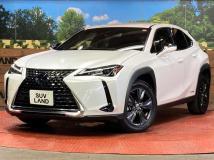 2019 Lexus Other