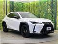 2021 Lexus Other