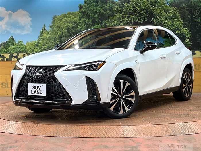 2023 Lexus Other