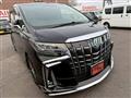 2018 Toyota Alphard G