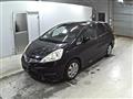 2011 Honda Fit shuttle