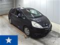2011 Honda Fit shuttle