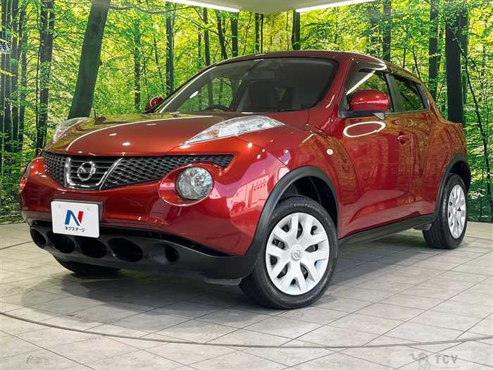 2011 Nissan Juke