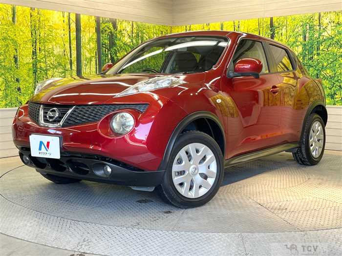 2013 Nissan Juke