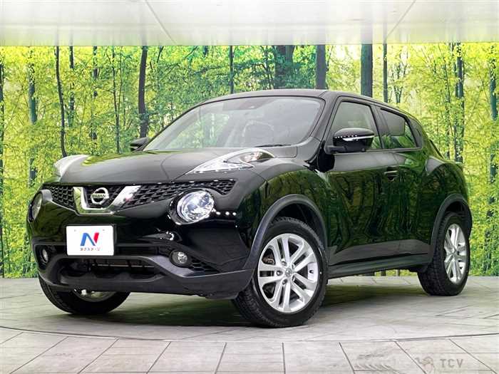 2015 Nissan Juke