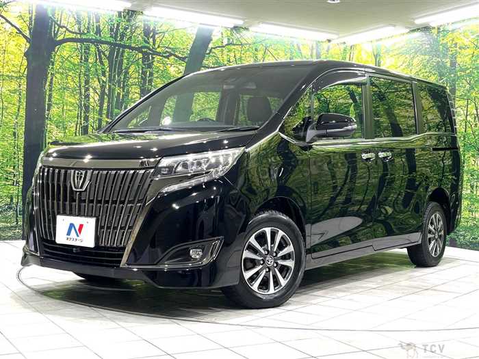 2019 Toyota Esquire