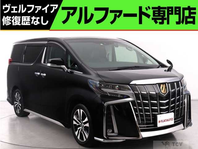 2019 Toyota Alphard G