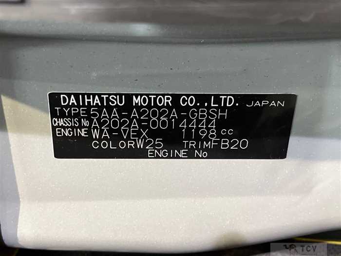 2022 Toyota Raize
