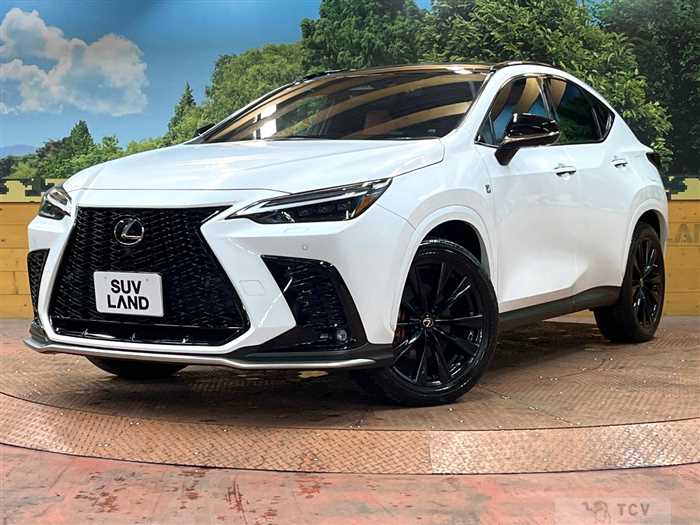 2021 Lexus NX