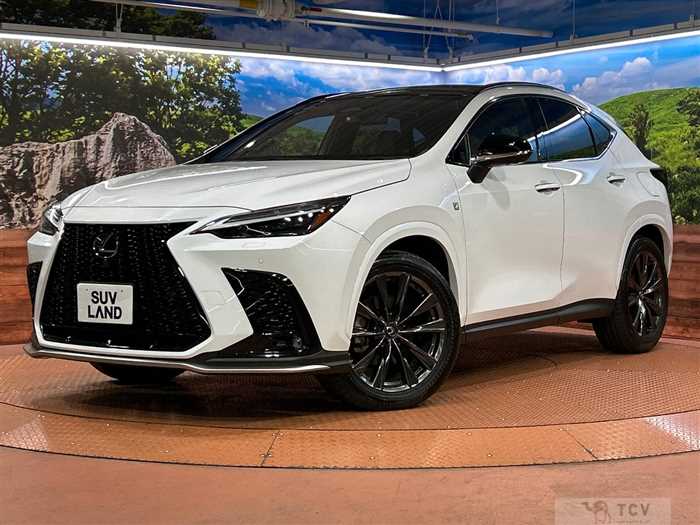 2023 Lexus NX
