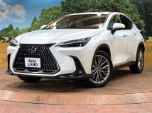 2023 Lexus NX