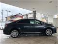 2009 Lexus HS