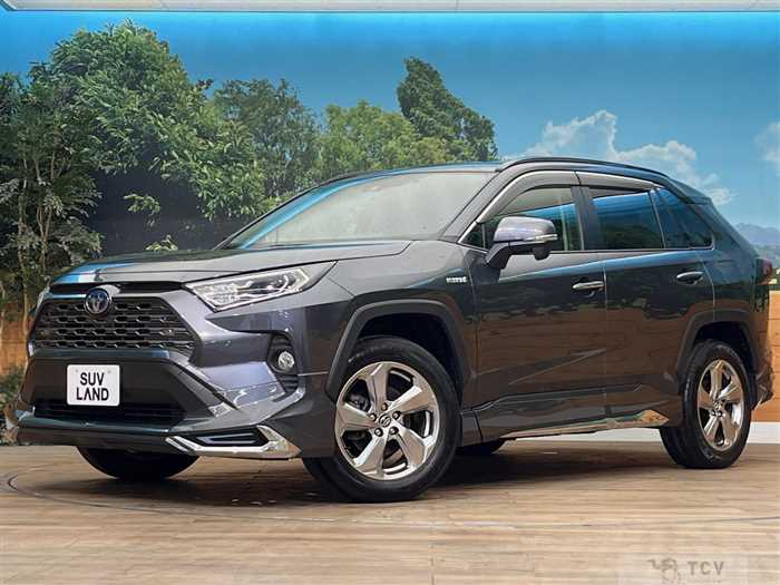 2019 Toyota RAV4