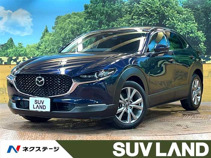 Mazda Mazda Others 2024 — миниатюра 5