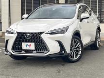 2023 Lexus NX