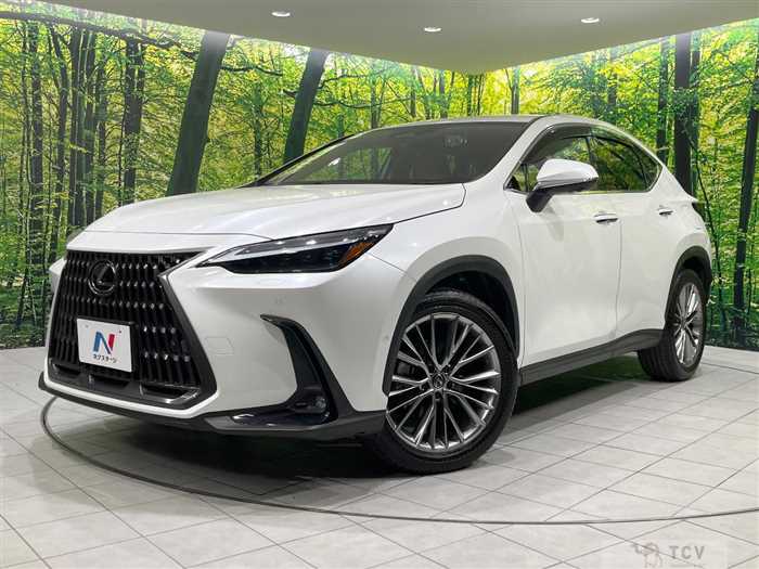 2023 Lexus NX