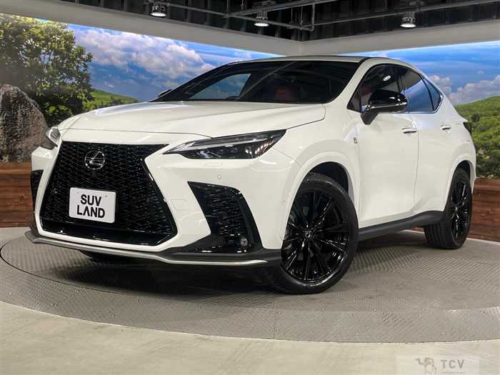 2023 Lexus NX
