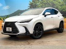 2024 Lexus NX