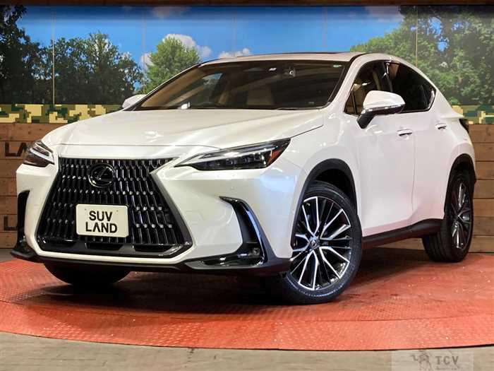 2022 Lexus NX