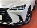 2022 Lexus NX