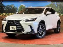 2022 Lexus NX