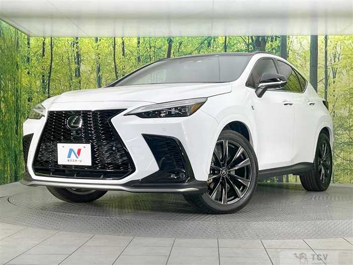 2022 Lexus NX