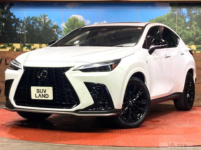 2023 Lexus NX