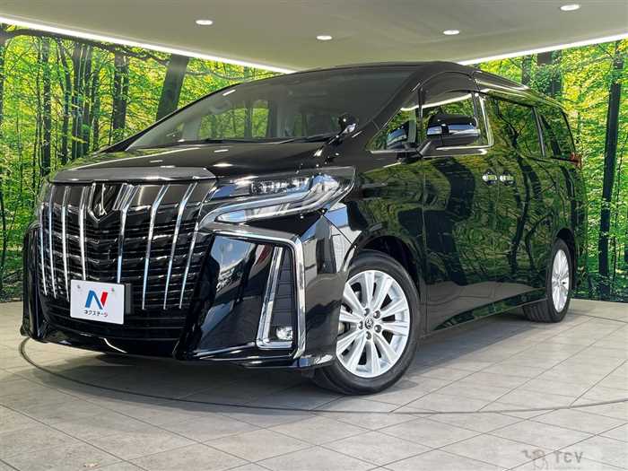 2019 Toyota Alphard