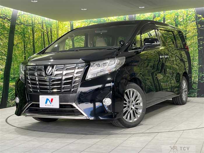 2016 Toyota Alphard