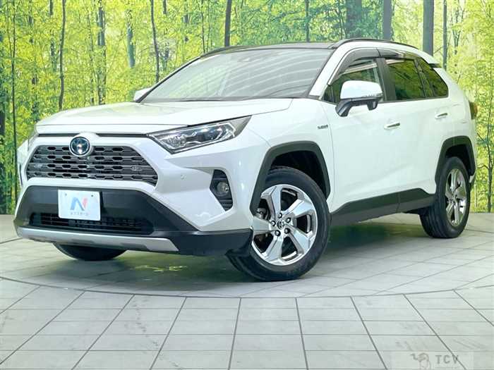 2019 Toyota RAV4