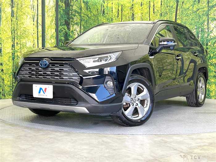 2019 Toyota RAV4
