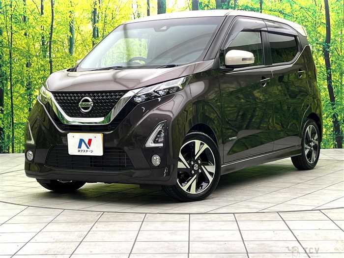 2019 Nissan DAYZ
