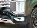 2019 Mitsubishi Delica D5