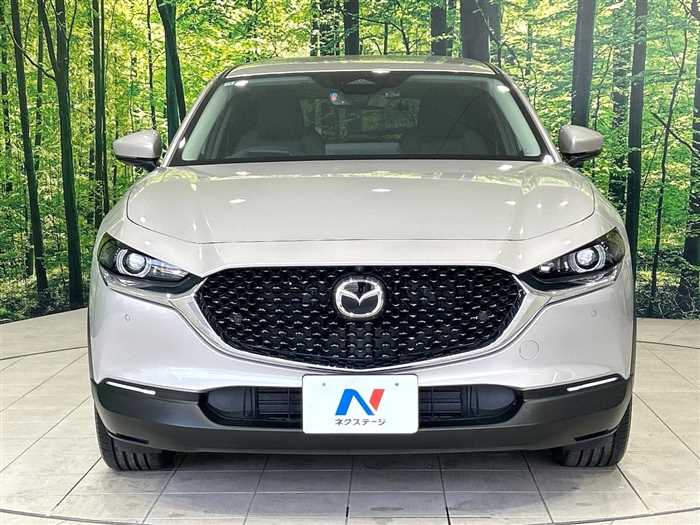Mazda Mazda Others 2024 — миниатюра 6