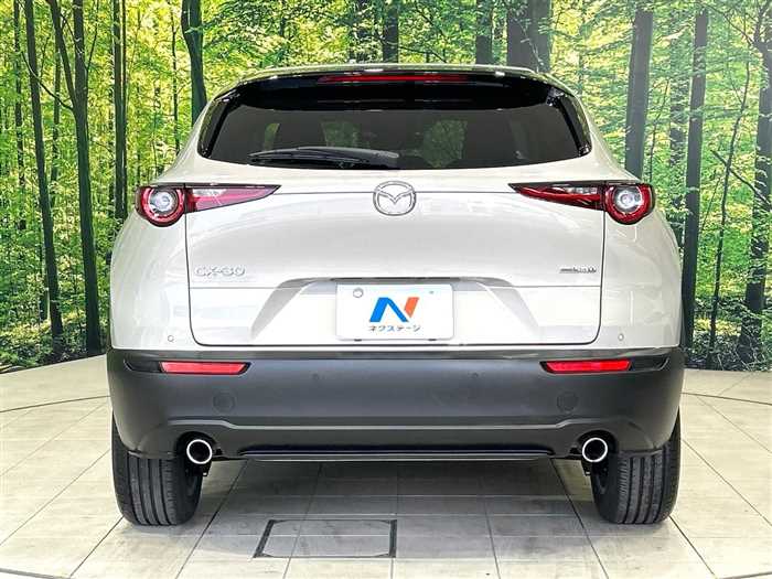 Mazda Mazda Others 2024 — миниатюра 10