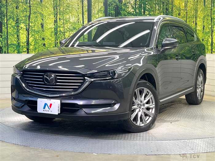 2017 Mazda CX-8
