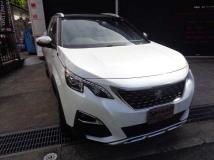 2019 Peugeot Peugoet Others